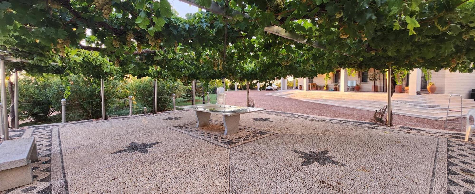 Finca El Descanso Manchego Tarancon Ngoại thất bức ảnh
